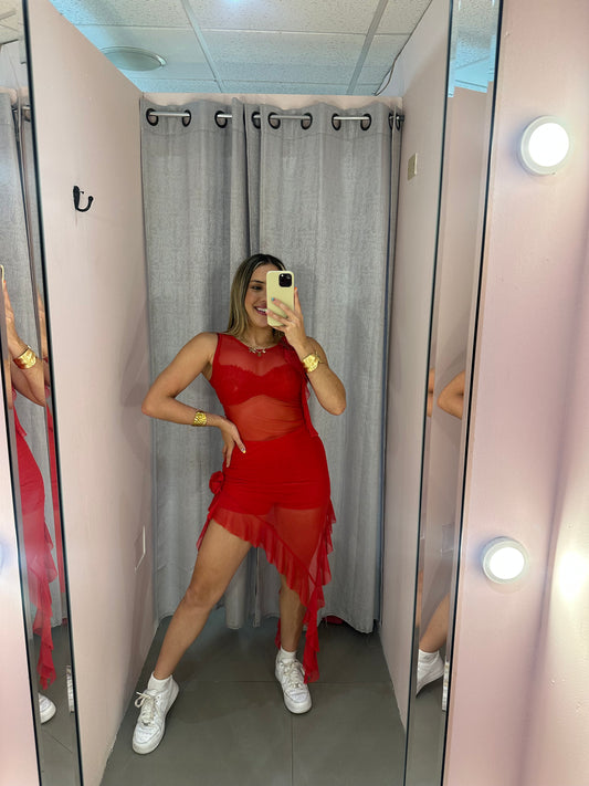 Mesh Red Dress