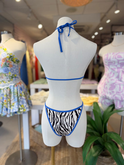 Zebra Swim