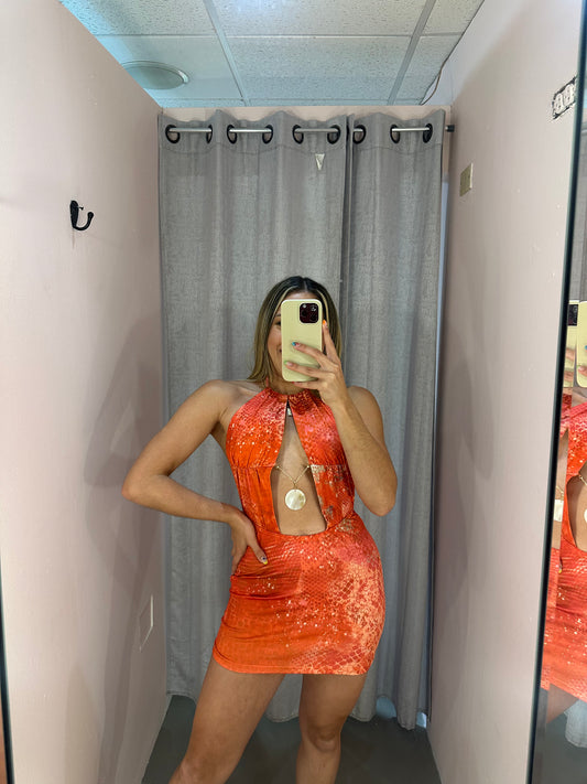 Shell Multi Dress